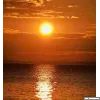 sonce