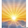 sonce
