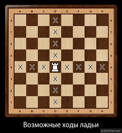 Правила игры в шахматы Фото 5 Правила игры в шахматы