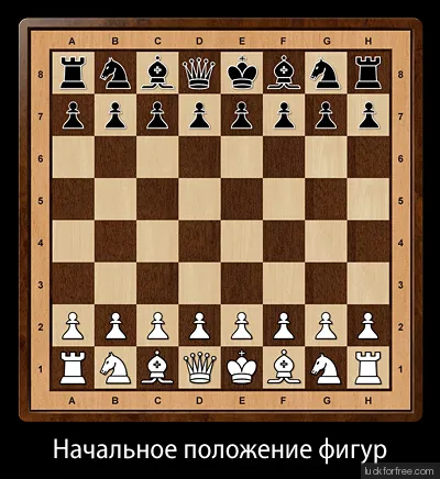 Правила игры в шахматы Фото 2 Правила игры в шахматы