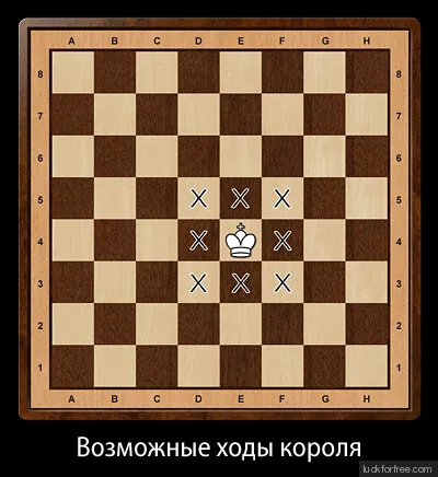 Правила игры в шахматы Фото 3 Правила игры в шахматы