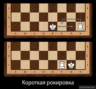 Правила игры в шахматы Фото 9 Правила игры в шахматы