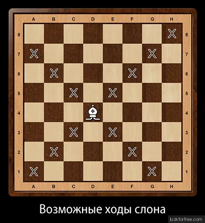 Правила игры в шахматы Фото 6 Правила игры в шахматы