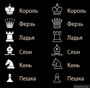 Правила игры в шахматы Фото 1 Правила игры в шахматы