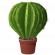 round cactus